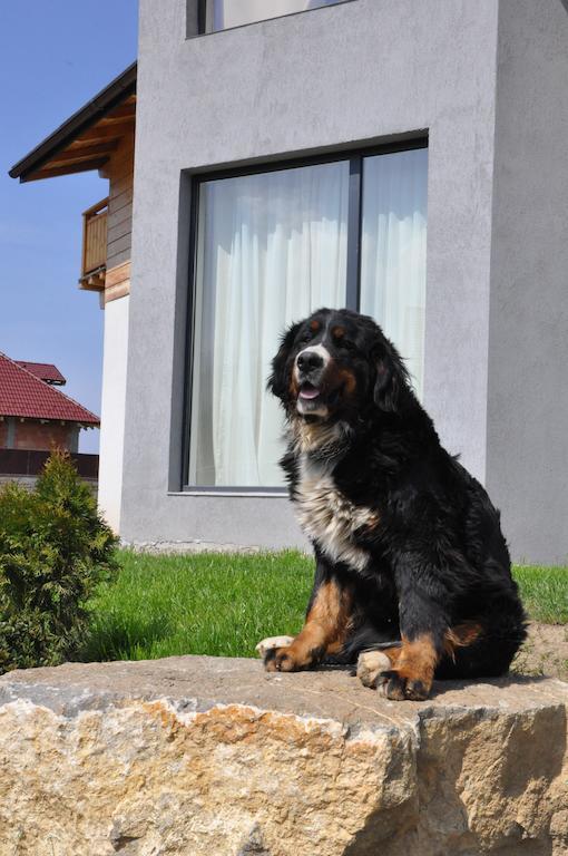 Villa Swiss Сэчеле Экстерьер фото