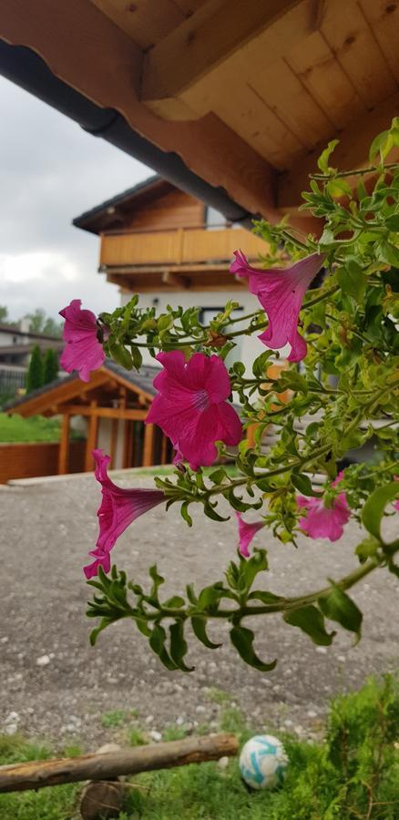 Villa Swiss Сэчеле Экстерьер фото