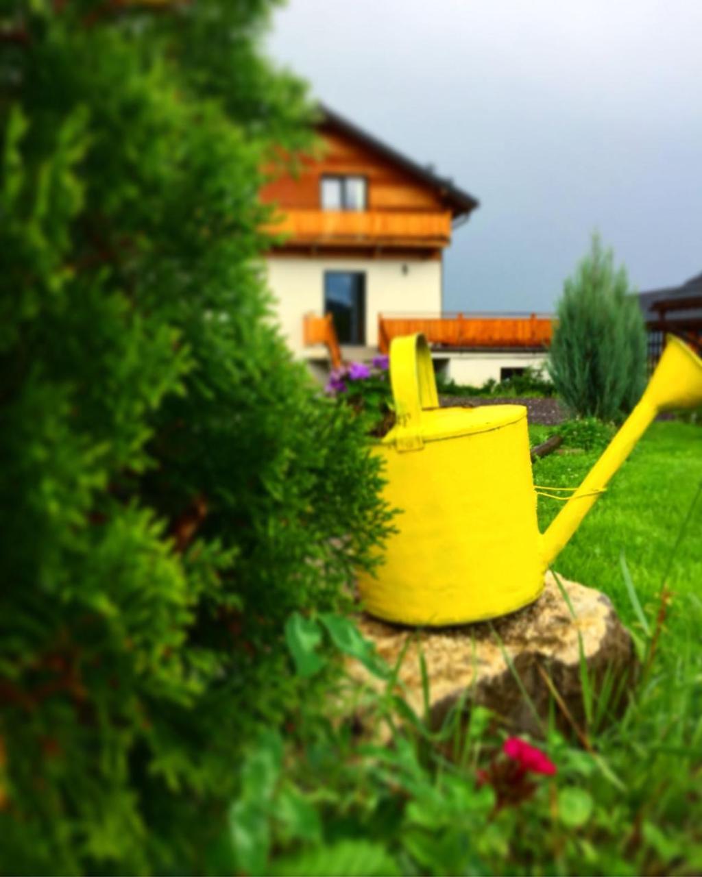 Villa Swiss Сэчеле Экстерьер фото