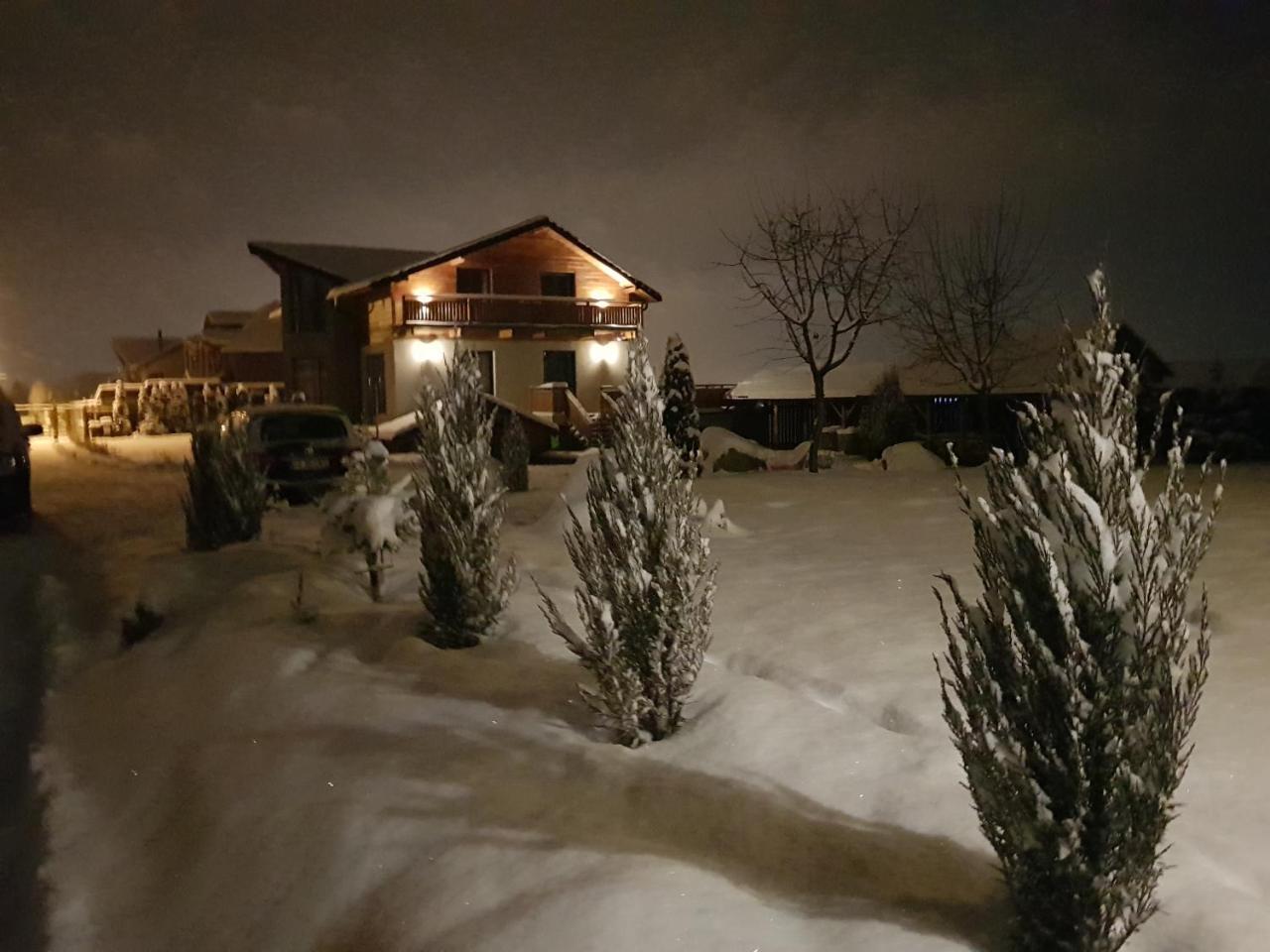 Villa Swiss Сэчеле Экстерьер фото