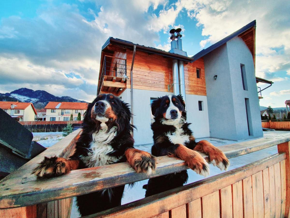 Villa Swiss Сэчеле Экстерьер фото